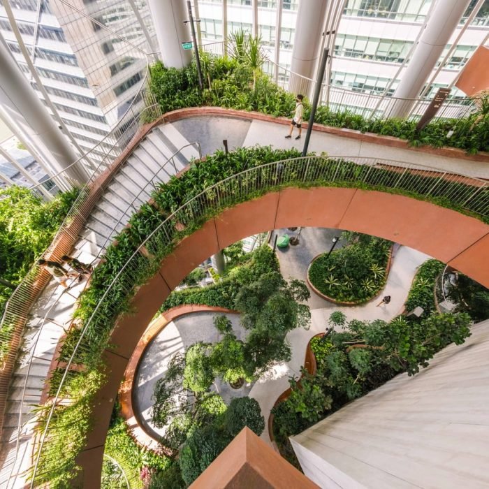 estructura arquitectónica curvilínea que ilustra la belleza y sofisticación de las formas curvas en el diseño moderno.