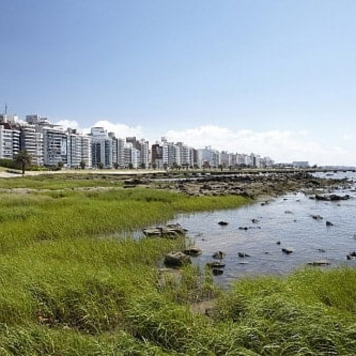 Vista panorámica de la rambla de Montevideo al atardecer, ilustrando el atractivo costero y la vibrante vida urbana de la ciudad. Ideal para aquellos interesados en comprar propiedades con vistas al mar