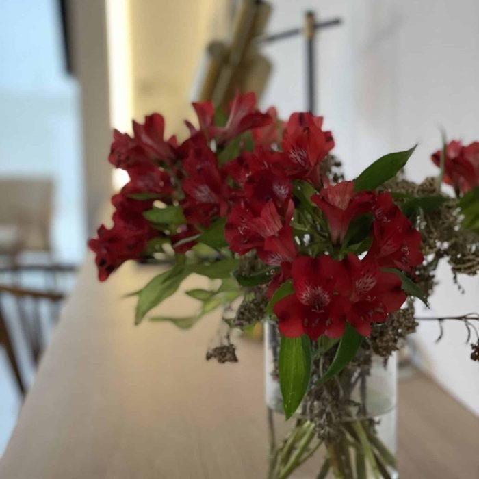 Diseño de interiores en Montevideo: Estudio Welfare explora las diferencias entre diseño de interiores y decoración, destacando cómo cada disciplina contribuye a la creación de espacios funcionales y estéticos. Descubre cómo nuestros proyectos combinan estos enfoques para transformar cualquier ambiente